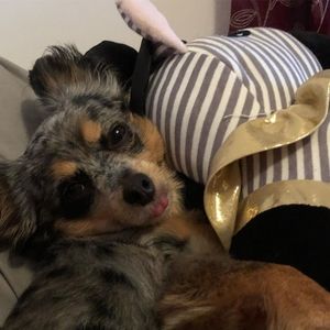 Meet your Posher, Victoria